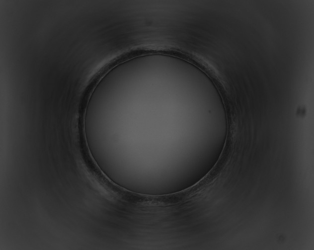 X0000091850535200710031022