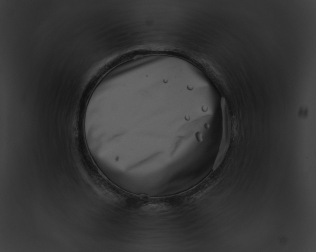 X0000091850536200710031022