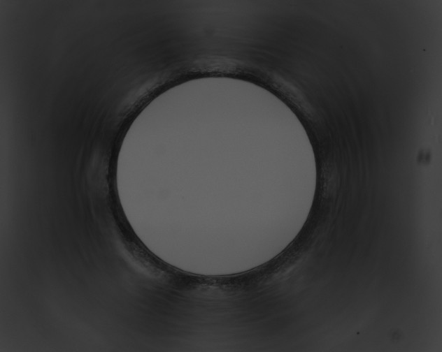 X0000091850538200710031022