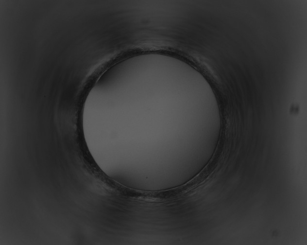 X0000091850539200710031022