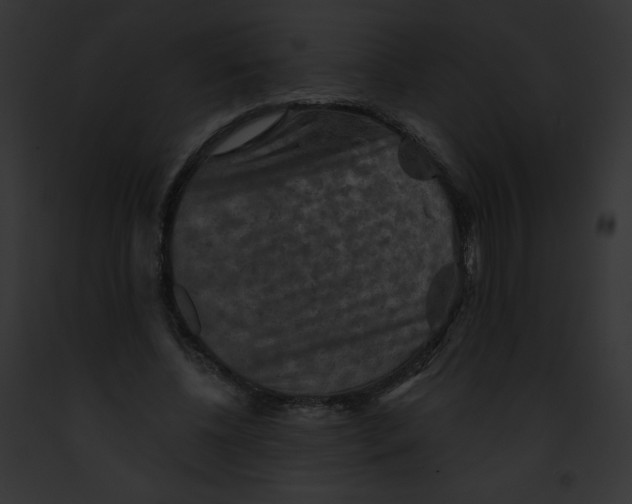 X0000091850540200710031022