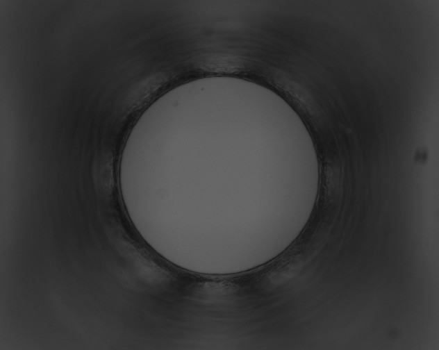 X0000091850541200710031022