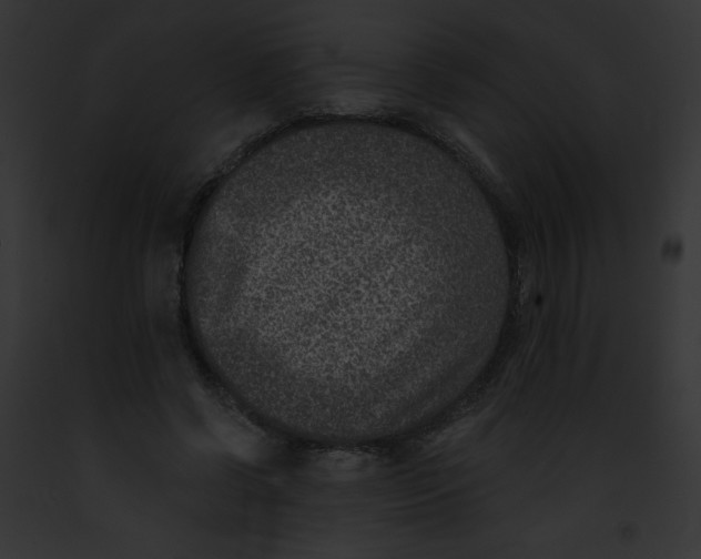 X0000091850542200710031022