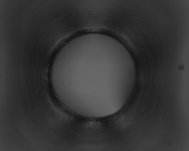 X0000091850543200710031022