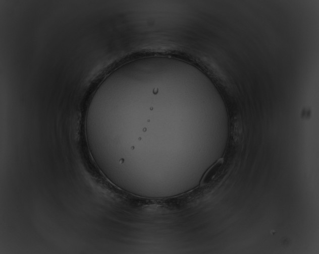 X0000091850544200710031022