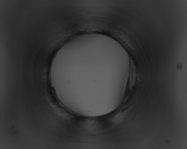X0000091850546200710031022
