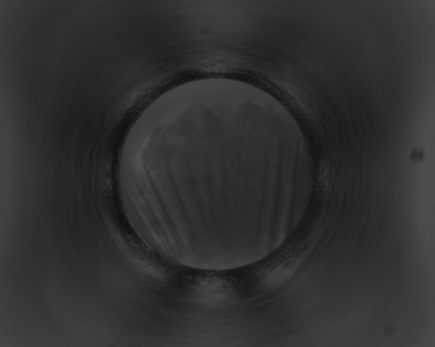 X0000091850547200710031022