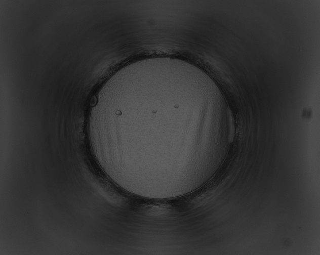 X0000091850548200710031022