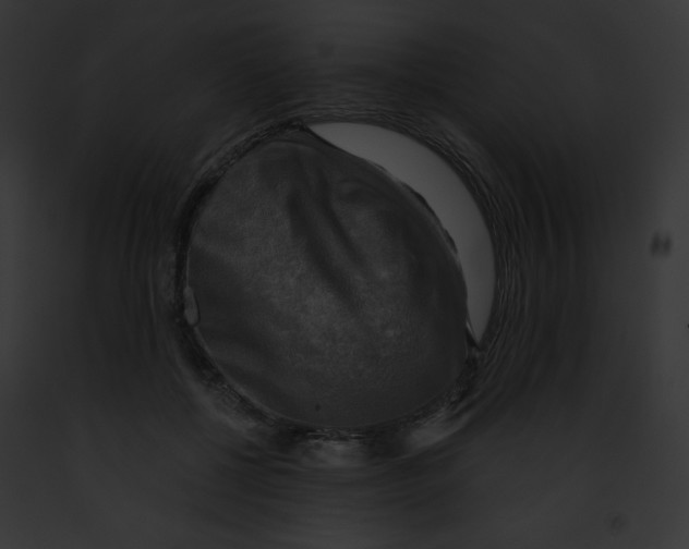 X0000091850552200710031022