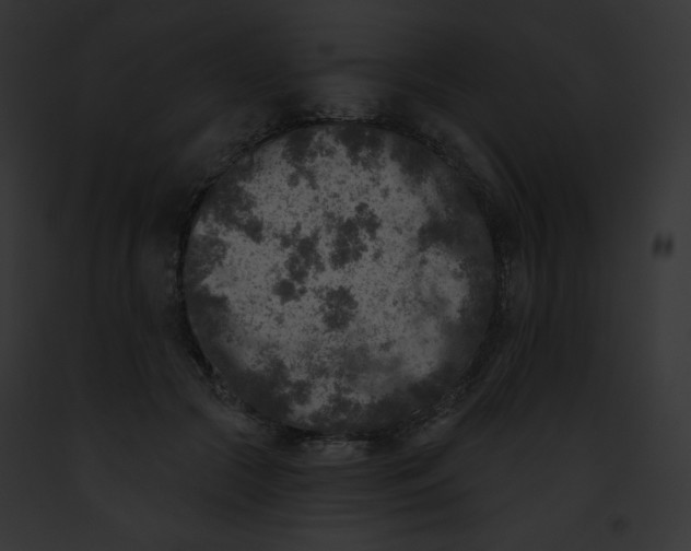 X0000091850553200710031022