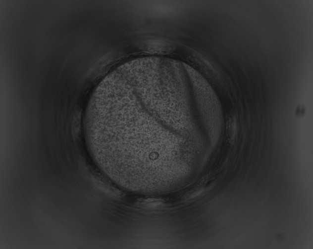 X0000091850554200710031022