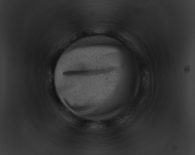 X0000091850555200710031022