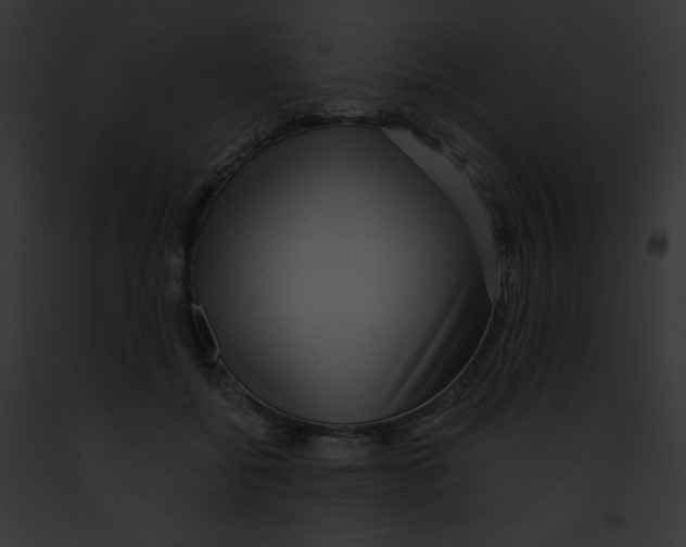 X0000091850556200710031022