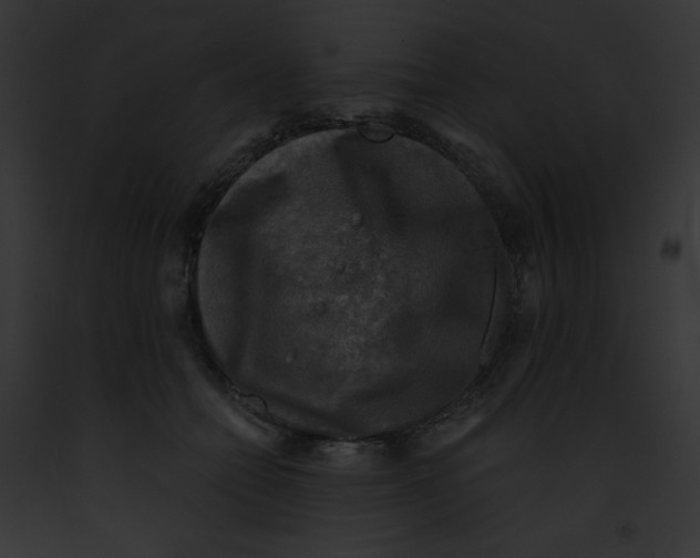 X0000091850558200710031022