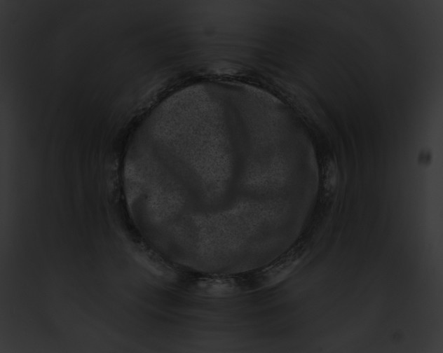X0000091850559200710031022