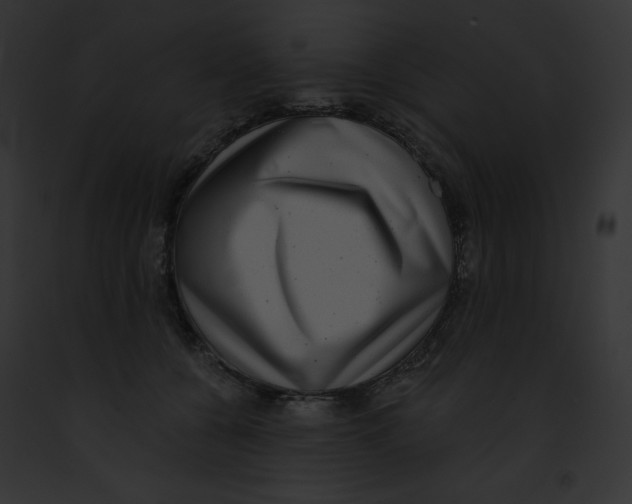 X0000091850560200710031022