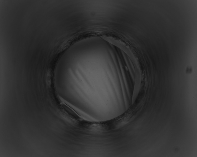 X0000091850562200710031022