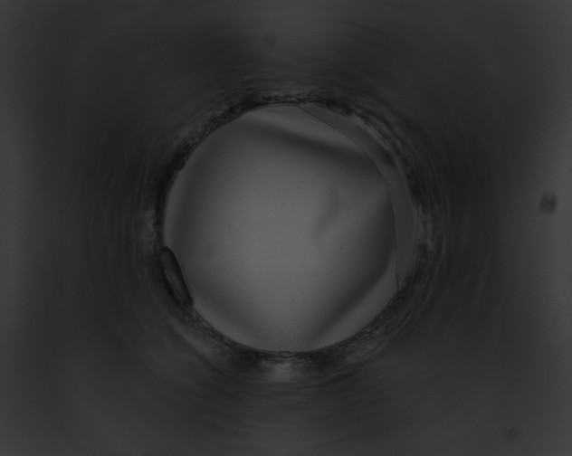 X0000091850564200710031022
