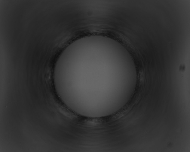 X0000091850567200710031022