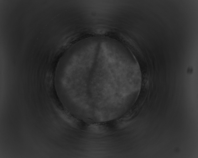 X0000091850568200710031022