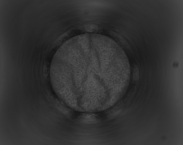 X0000091850569200710031022