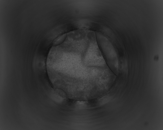 X0000091850573200710031022