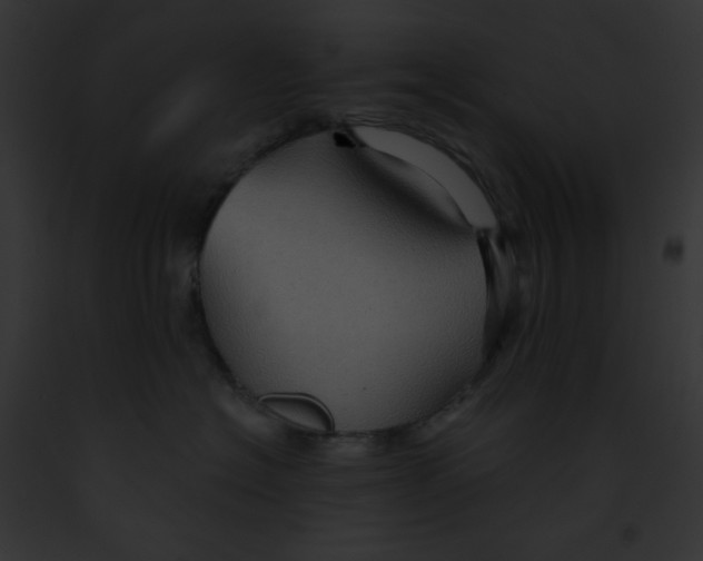 X0000091850574200710031022