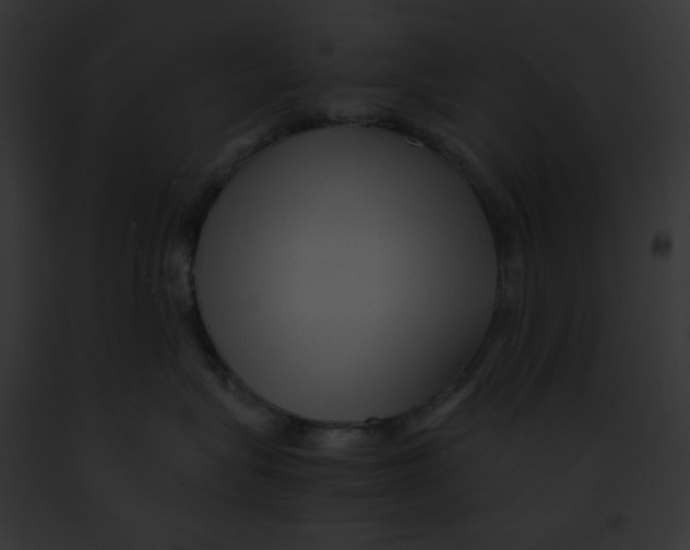 X0000091850575200710031022