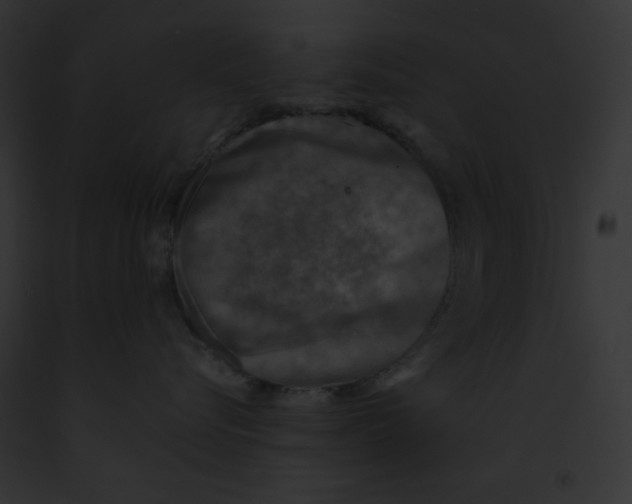 X0000091850576200710031022