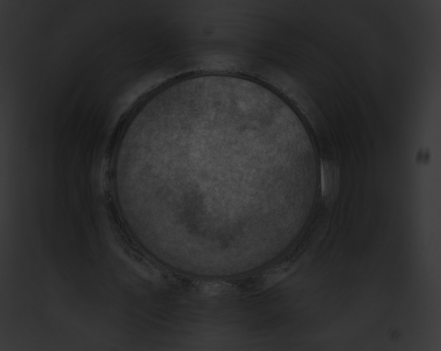 X0000091850579200710031022