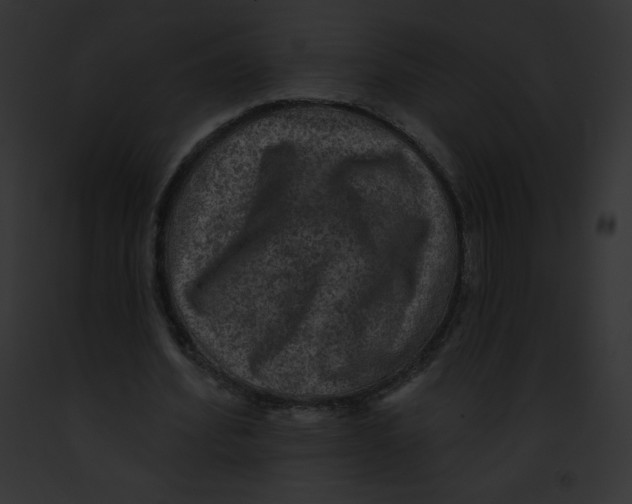 X0000091850580200710031022
