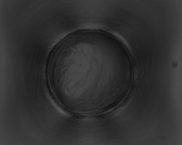 X0000091850581200710031022