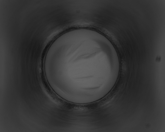 X0000091850582200710031022