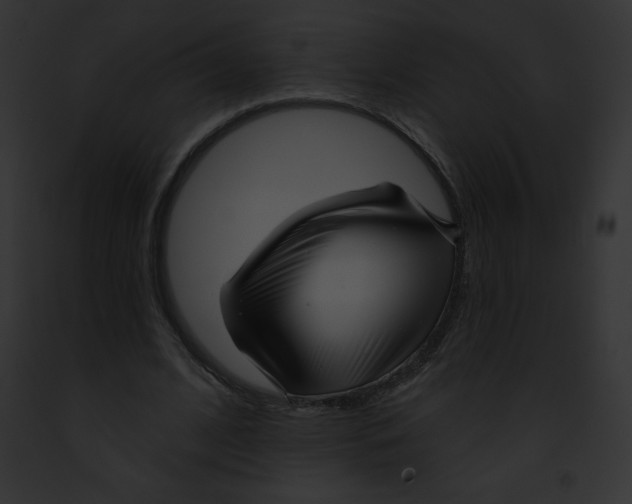X0000091850584200710031022