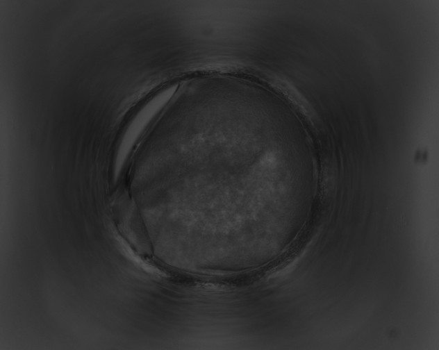 X0000091850585200710031022