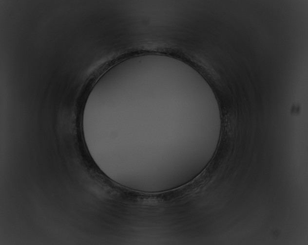 X0000091850587200710031022