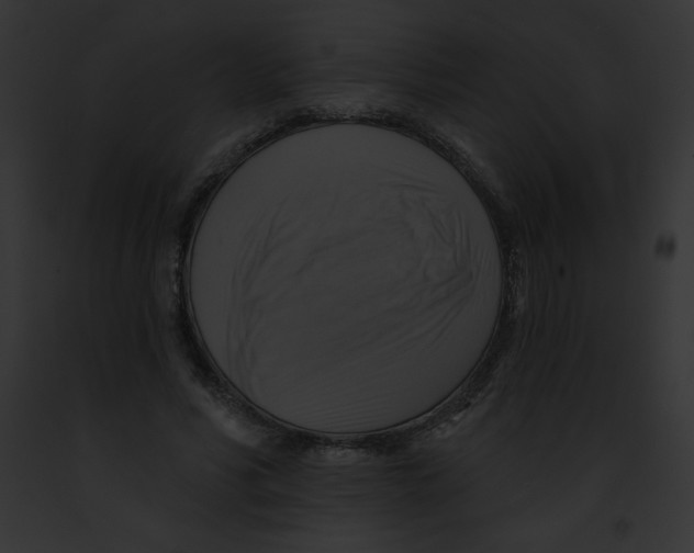 X0000091850590200710031021