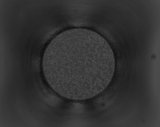 X0000091850592200710031021