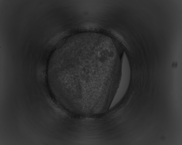 X0000091850593200710031021