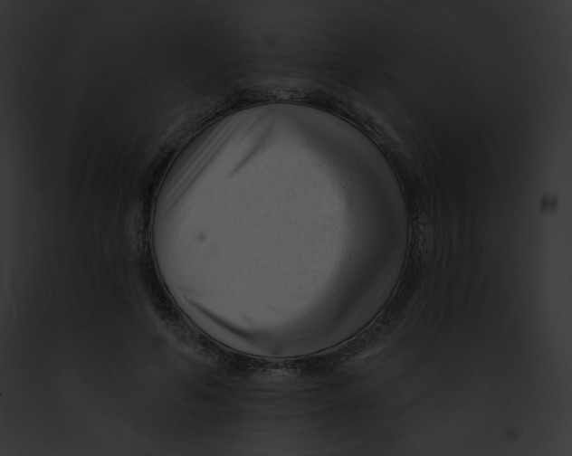 X0000091850594200710031021
