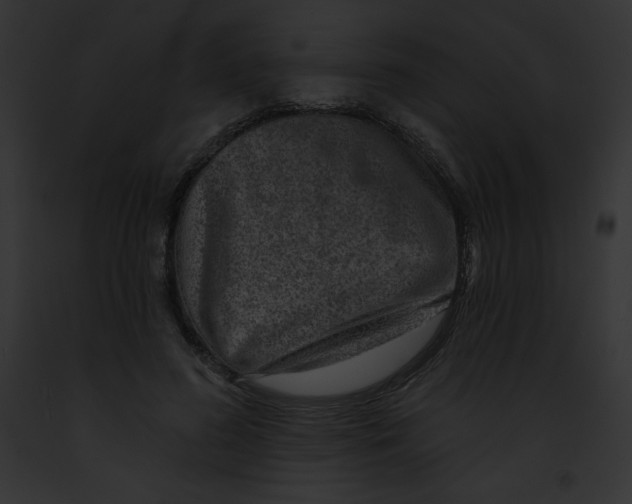 X0000091850596200710031021