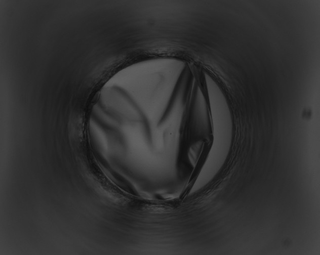 X0000091850597200710031021