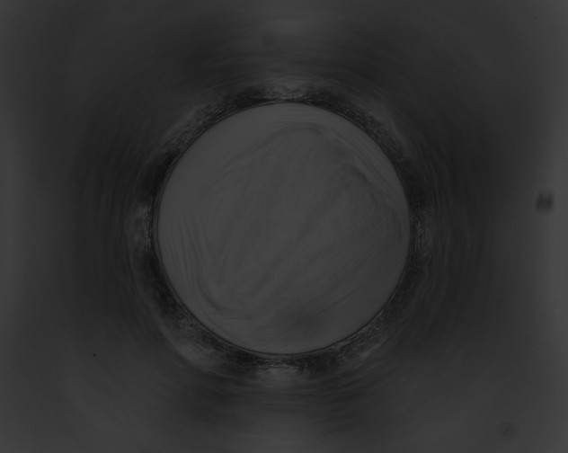 X0000091850598200710031021