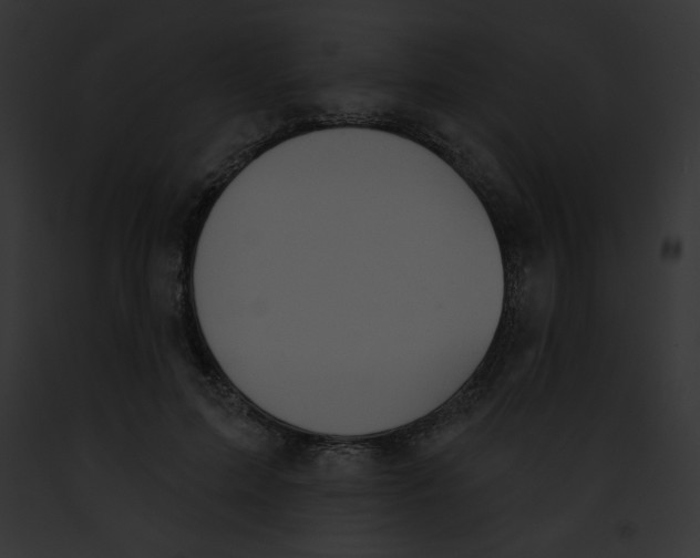 X0000091850599200710031021