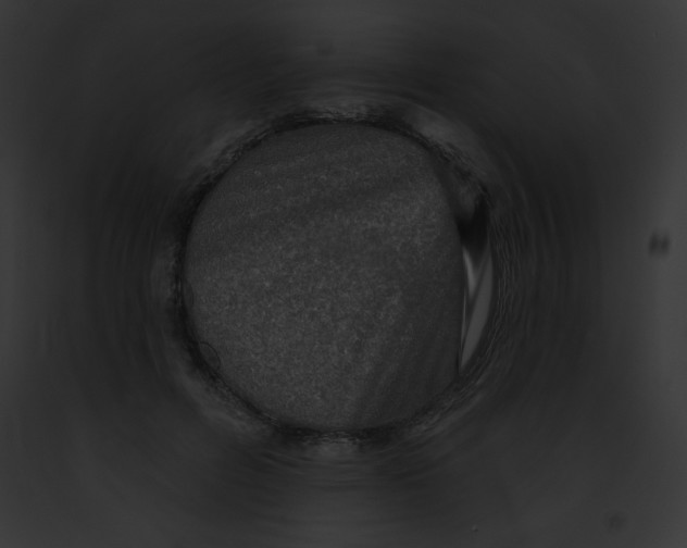 X0000091850600200710031021