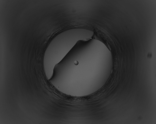 X0000091850604200710031021