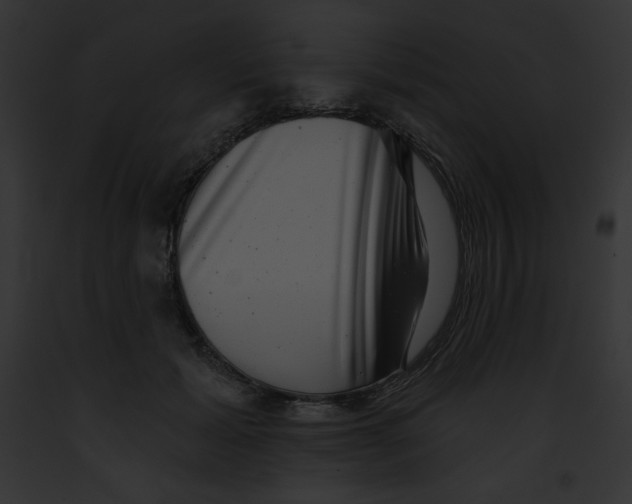 X0000091850605200710031021
