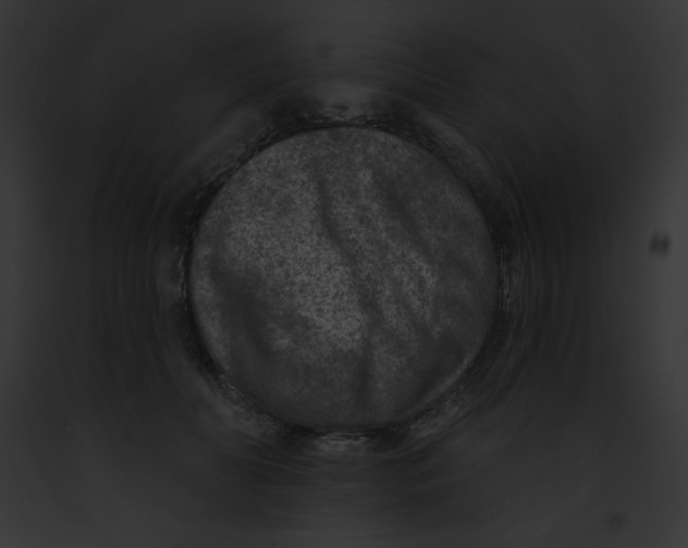 X0000091850606200710031021