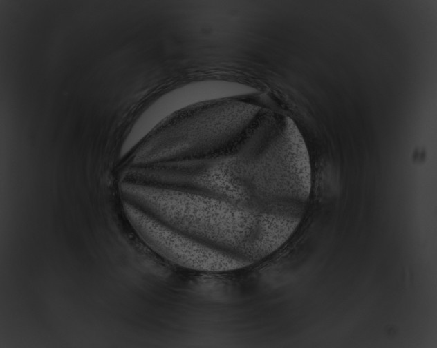 X0000091850608200710031021