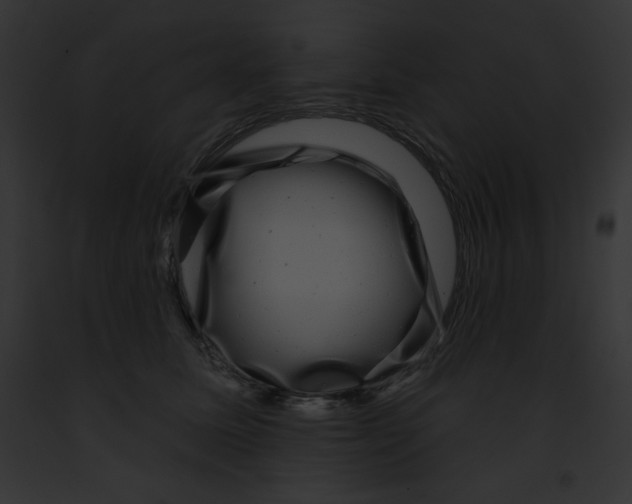 X0000091850611200710031021
